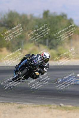 media/Nov-11-2023-SoCal Trackdays (Sat) [[efd63766ff]]/Turn 2 Set 2 (1145am)/